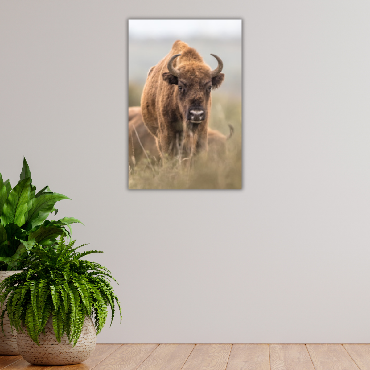 Wisent 3.0 (Leinwandprint 90x60cm)