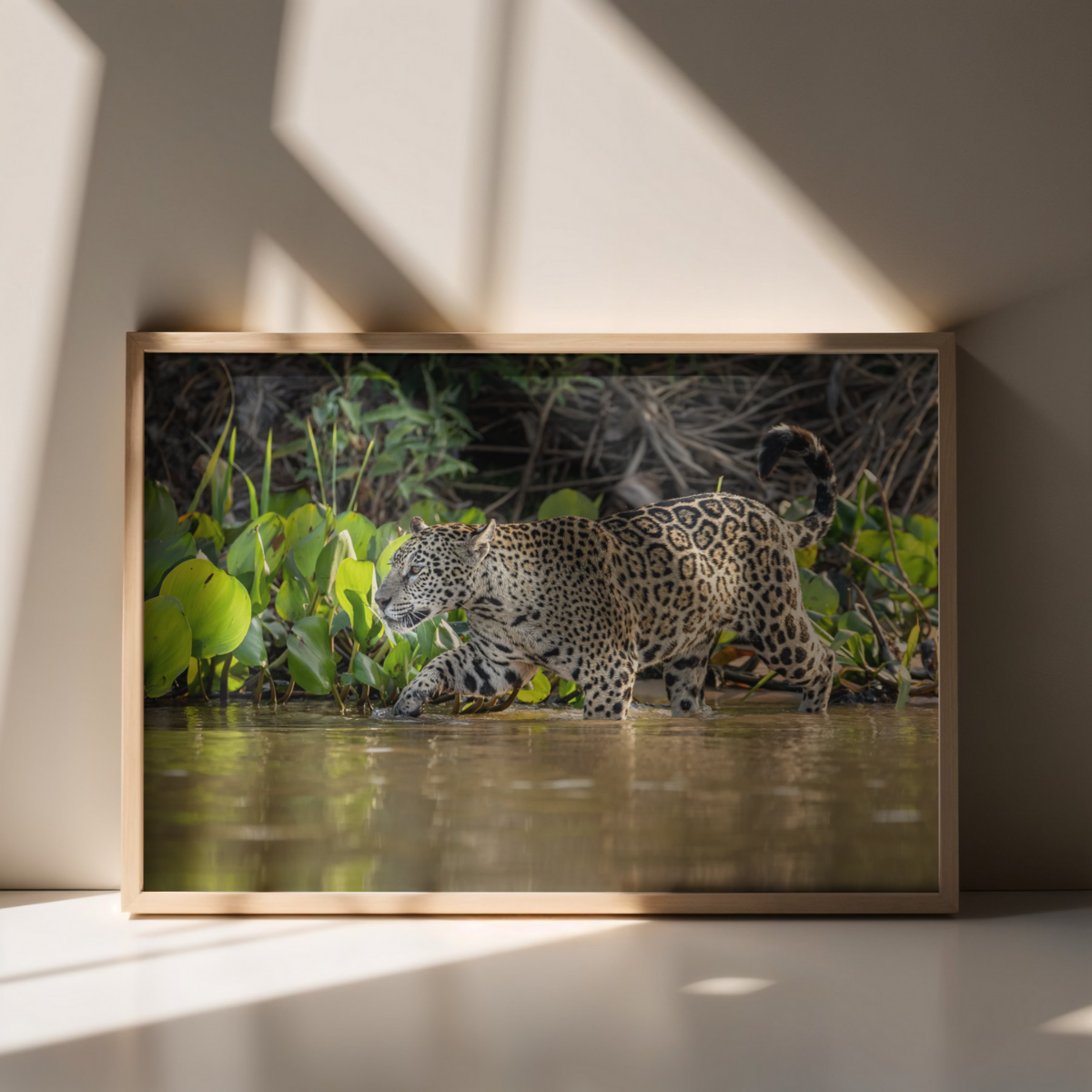 Jaguar (Fine Art Print 30x45cm)