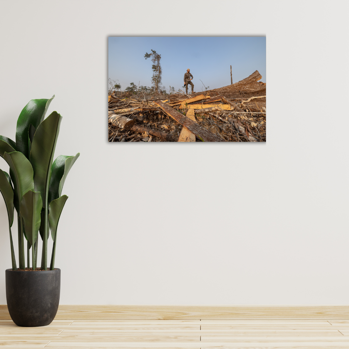 Abholzung Regenwald Peru (Leinwandprint 60x90cm)