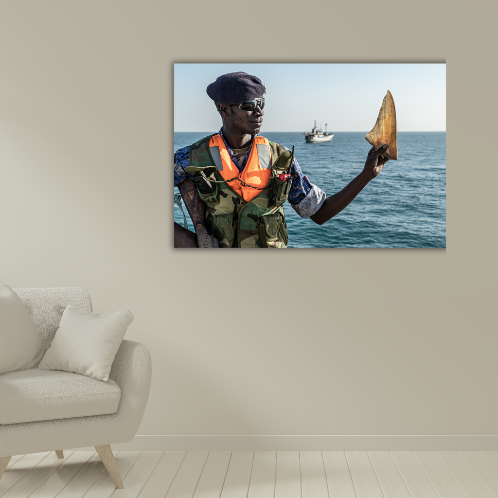 Haiflosse (Leinwandprint 60x90cm)