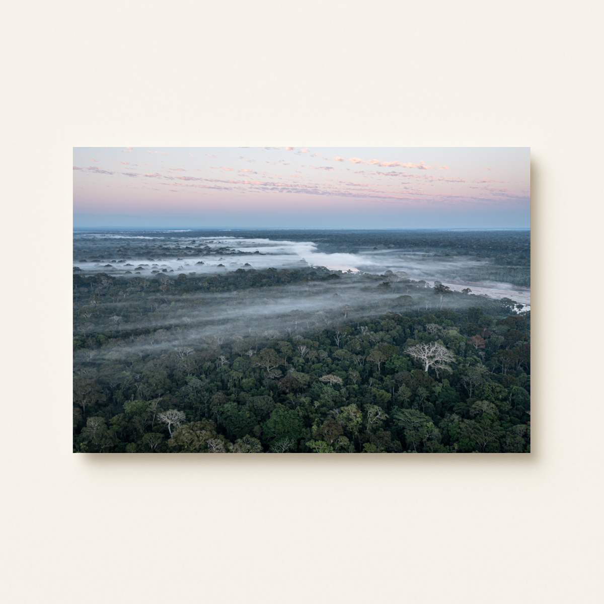 Mission Erde Regenwald (Leinwandprint 60x90cm)