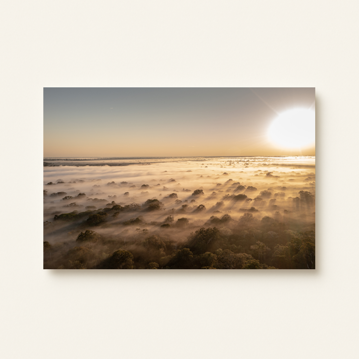Mission Erde Regenwald 2.0 (Leinwandprint 60x90cm)
