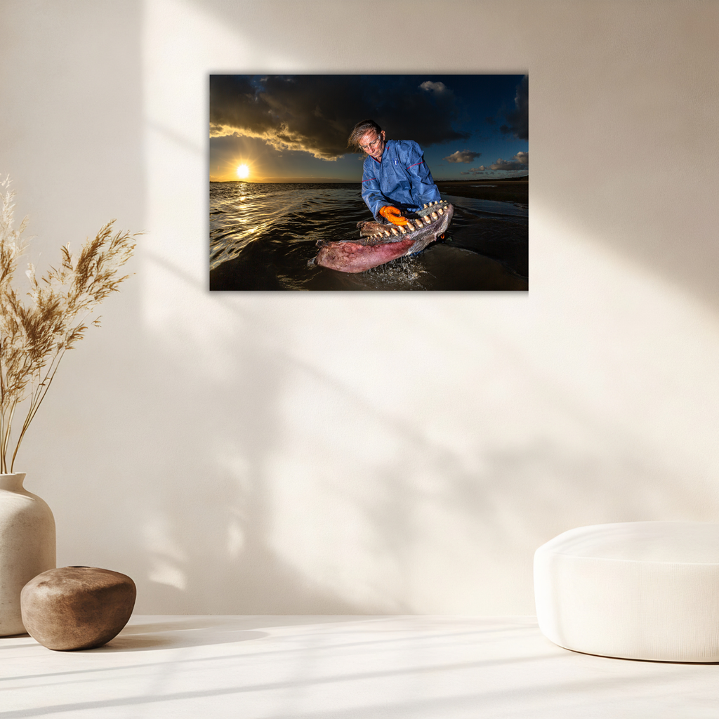 Dr. Ingrid Visser mit Orca Kiefer (Leinwandprint 60x90cm)