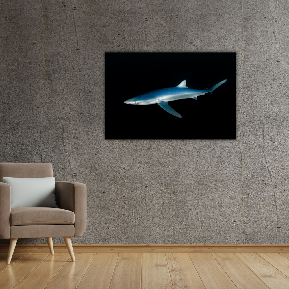 Blauhai 4.0 (Leinwandprint 60x90cm)