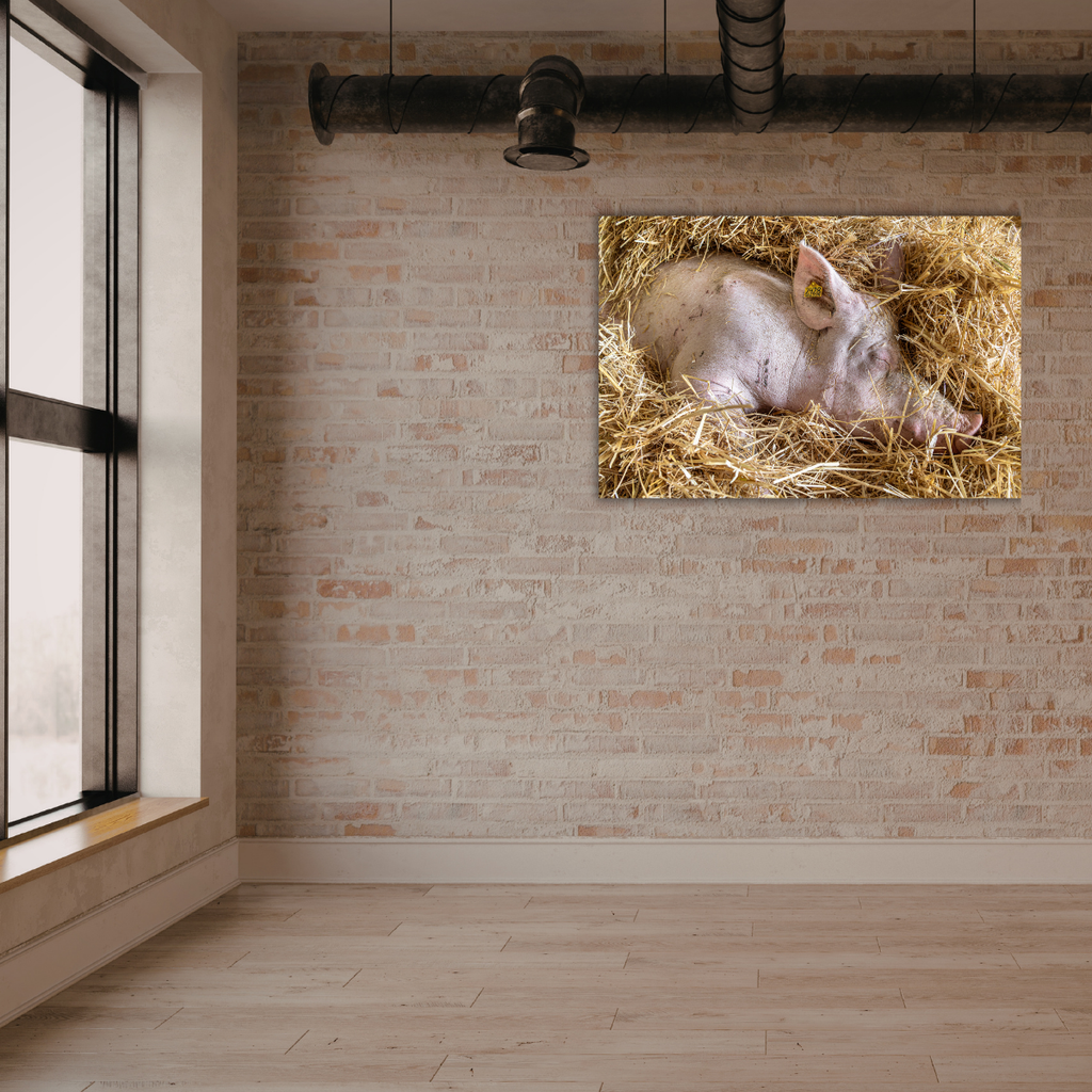 Mission Schwein (Leinwandprint 60x90cm)