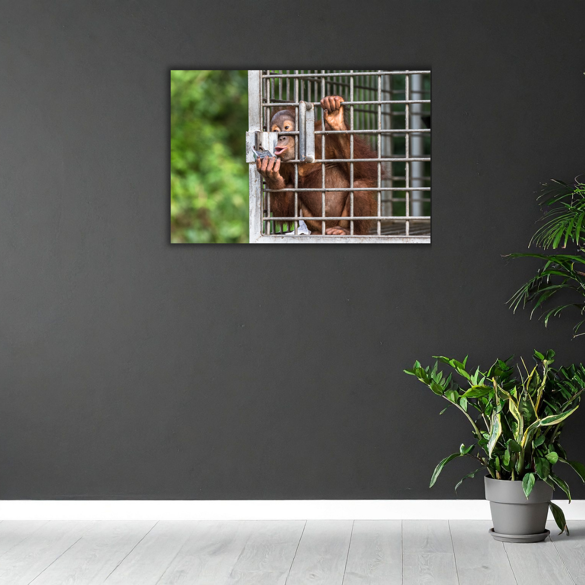 Orang-Utan Rescuecenter 3.0 (Leinwandprint 60x90cm)