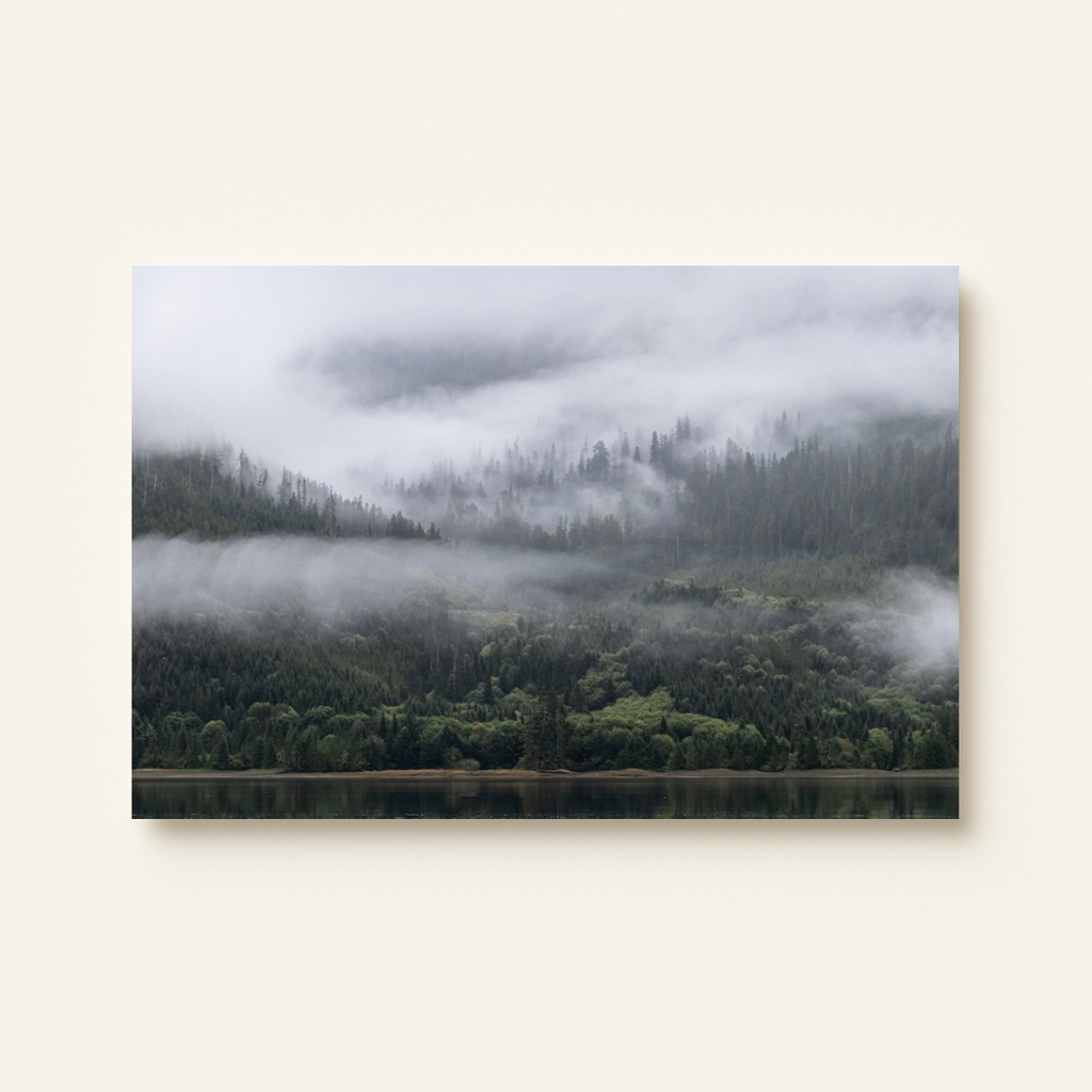 Nebliger Wald Kanada (Leinwandprint 60x90cm)