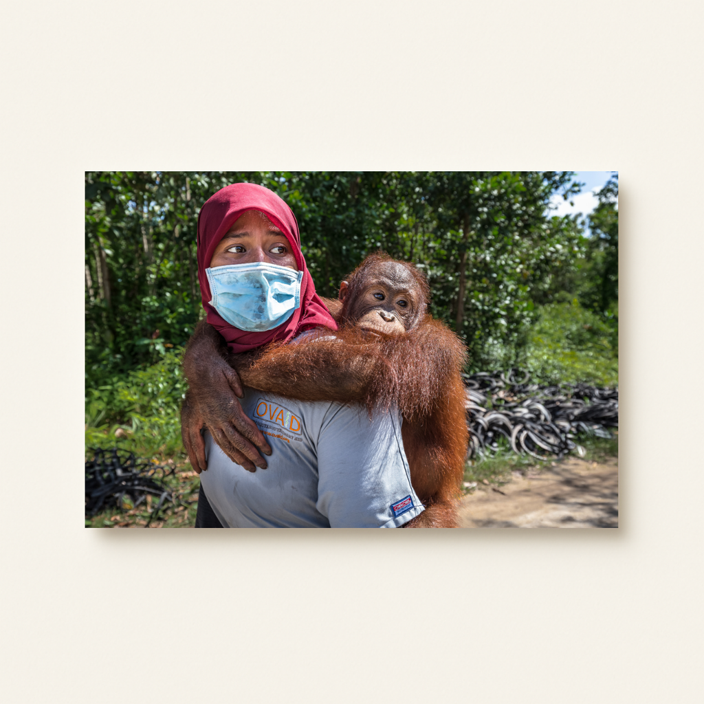 Orang-Utan Rescuecenter (Leinwandprint 60x90cm)