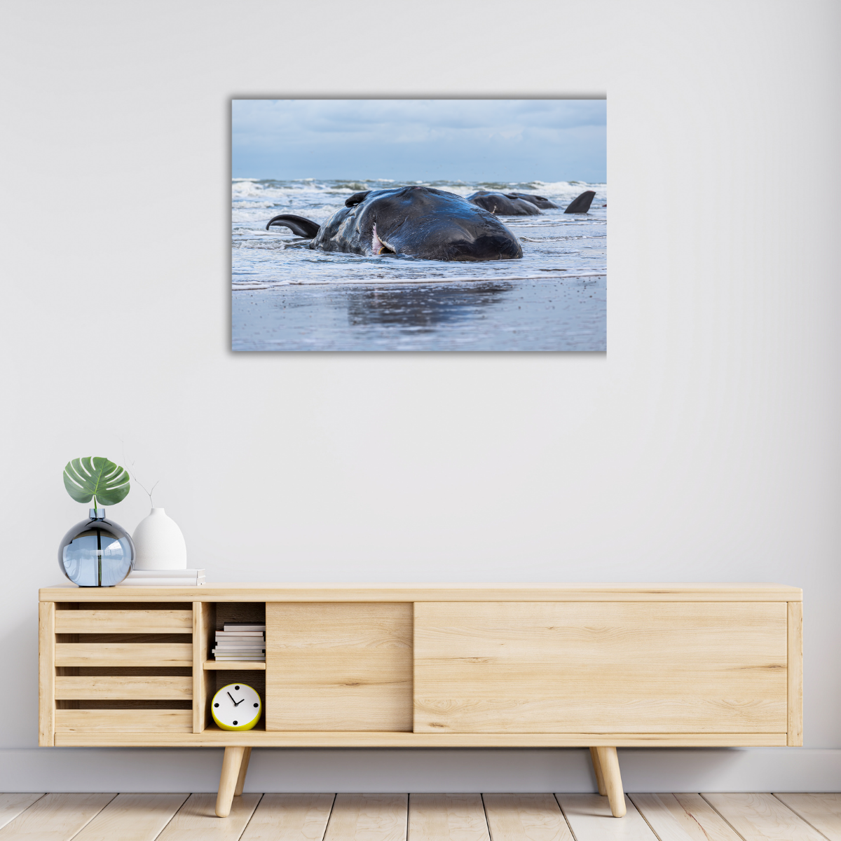 Pottwalstrandung (Leinwandprint 60x90cm)