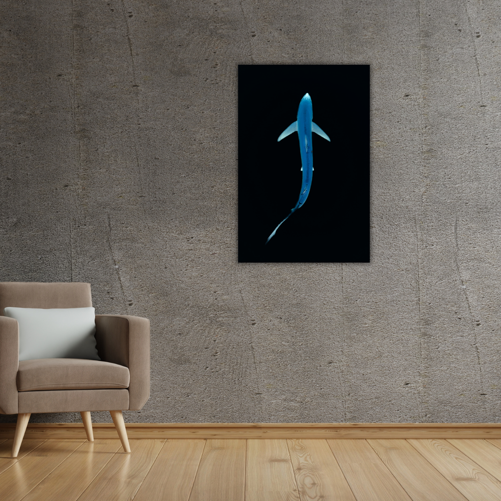 Blauhai 3.0 (Leinwandprint 60x90cm)