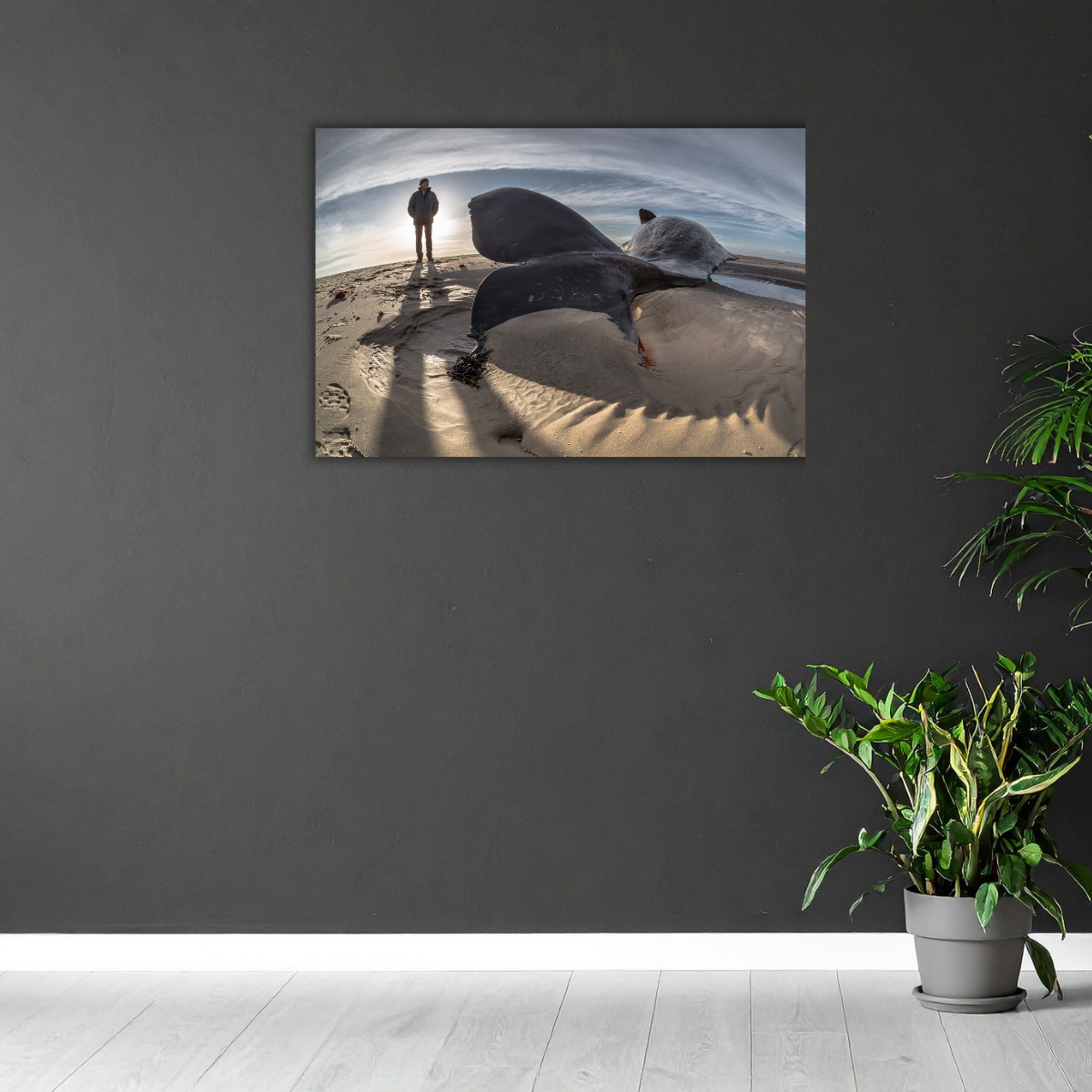 Pottwalstrandung 3.0 (Leinwandprint 60x90cm)