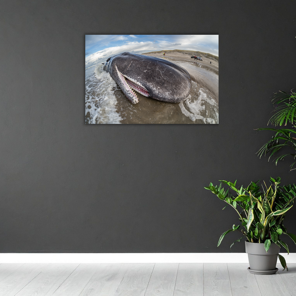 Pottwalstrandung 4.0 (Leinwandprint 60x90cm)