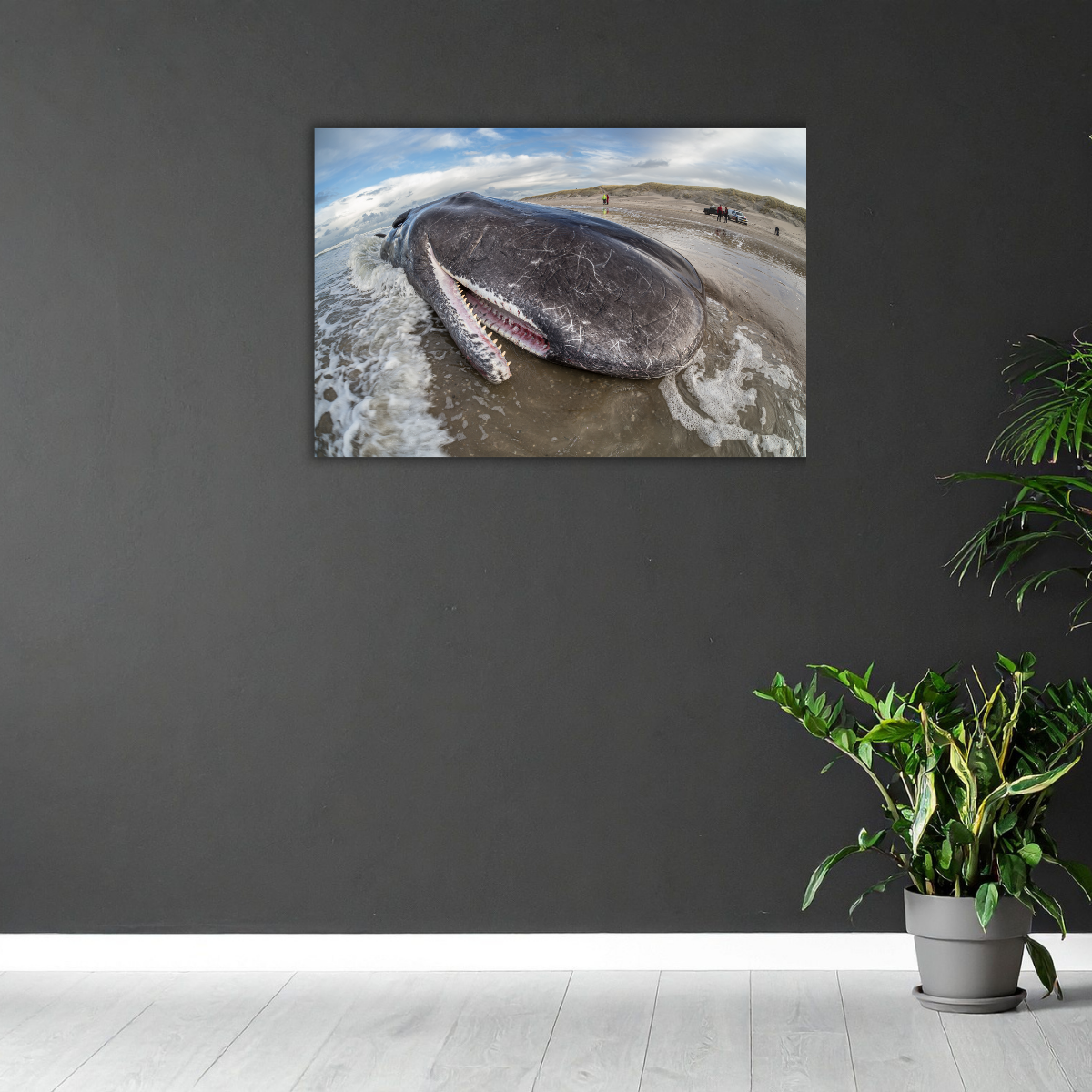 Pottwalstrandung 4.0 (Leinwandprint 60x90cm)