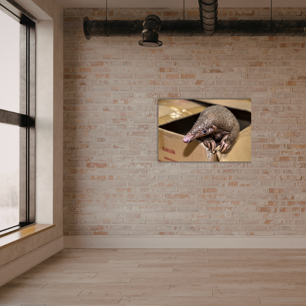 Schuppentier 2.0 (Leinwandprint 60x90cm)