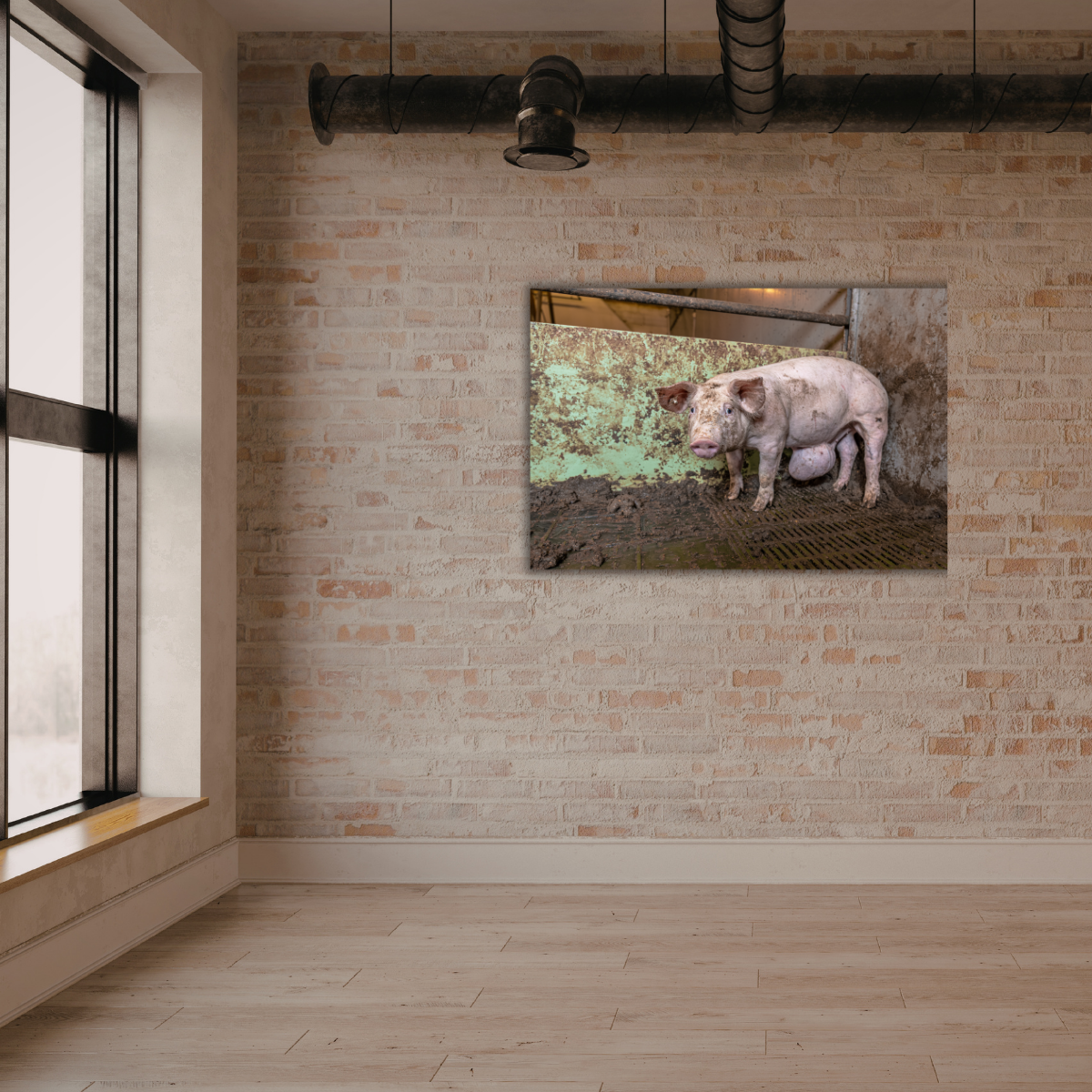 Mission Schwein 2.0 (Leinwandprint 60x90cm)