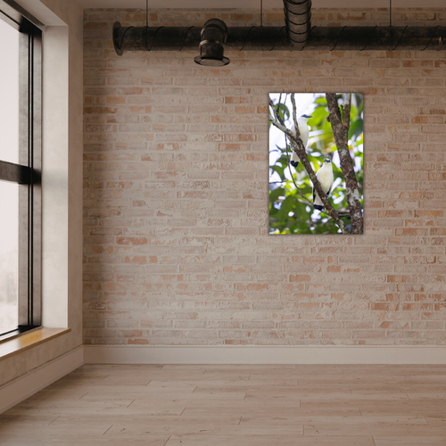 "Bali Starling Paar" (Leinwandprint 90x60cm)