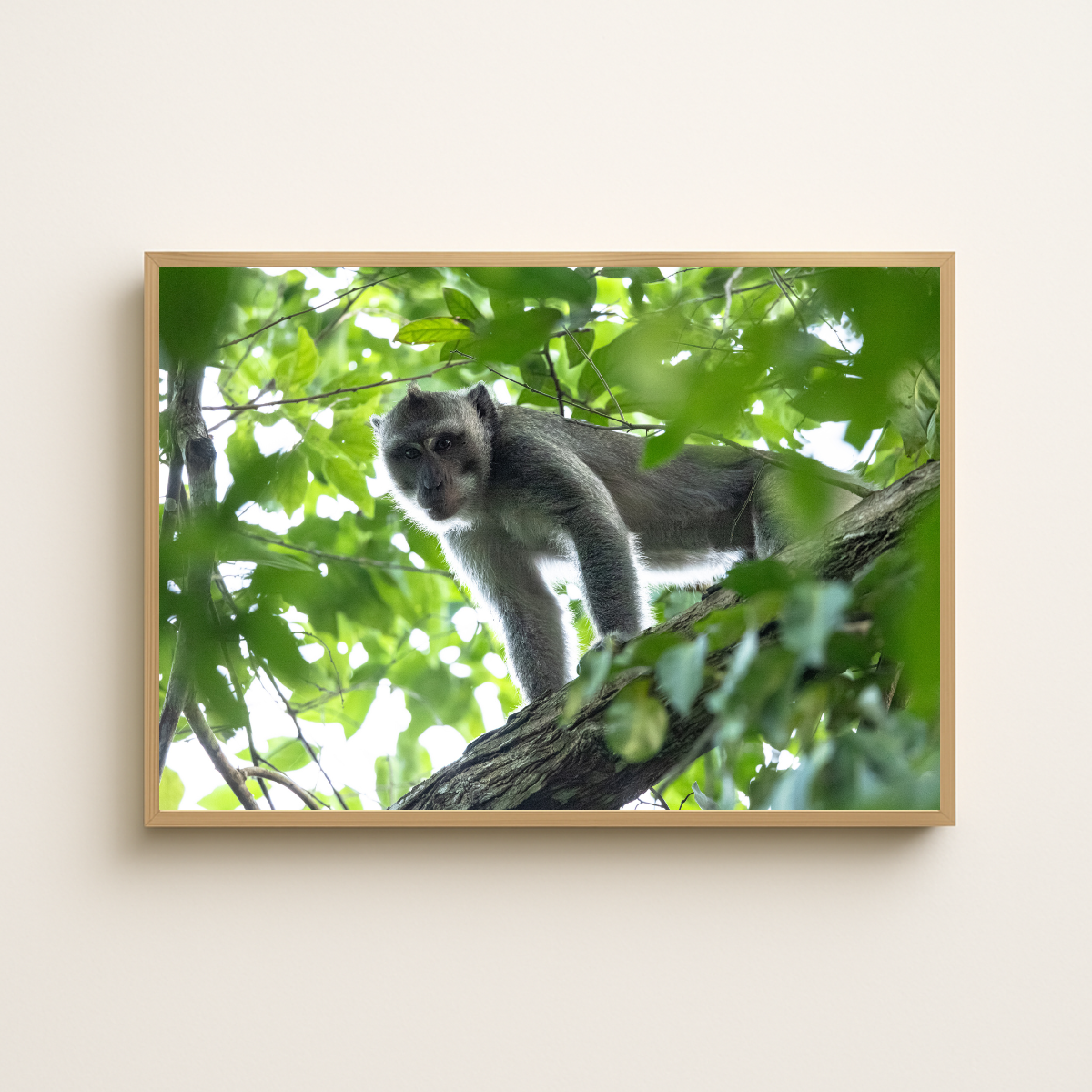 Makake 3.0 (Fine Art Print 30x45cm)