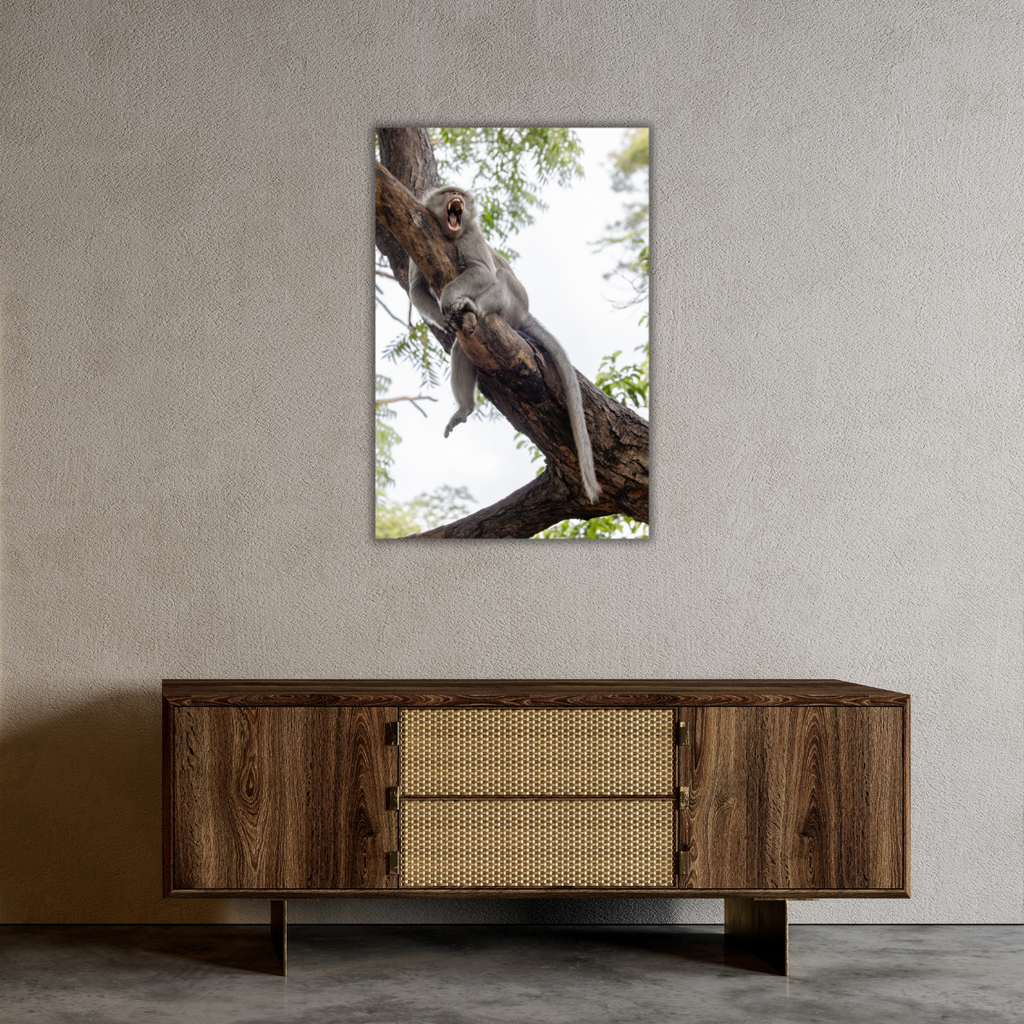 Makake 6.0 (Leinwandprint 60x90cm)