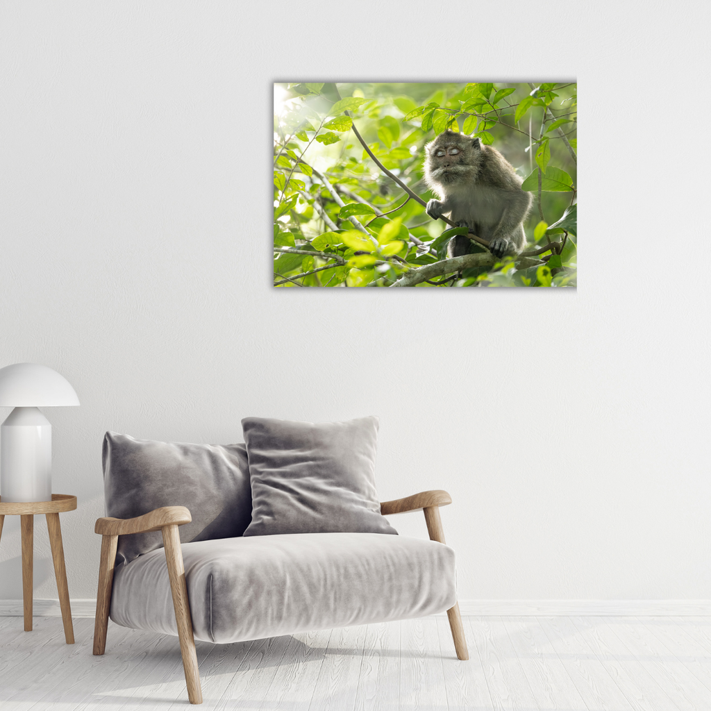 Makake 4.0 (Leinwandprint 60x90cm)