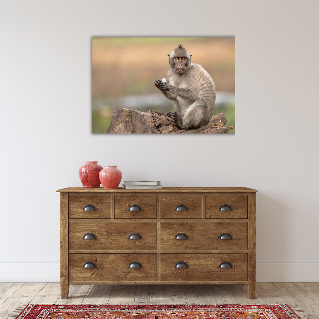Makake 18.0 (Leinwandprint 60x90cm)