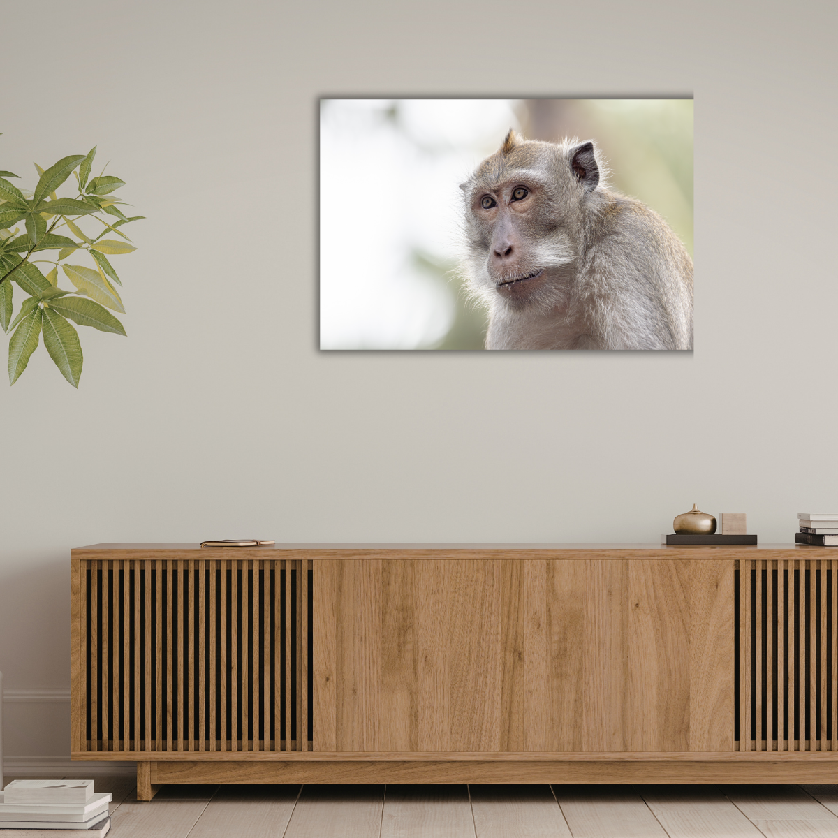 Makake 16.0 (Leinwandprint 60x90cm)