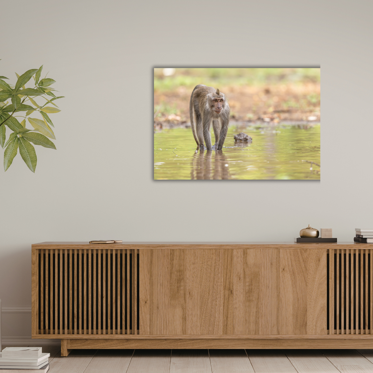 Makake 15.0 (Leinwandprint 60x90cm)