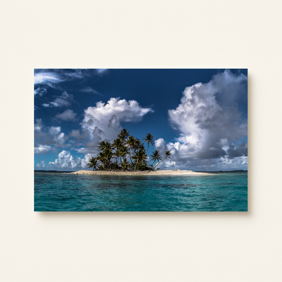 Shark Island (Leinwandprint 60x90cm)