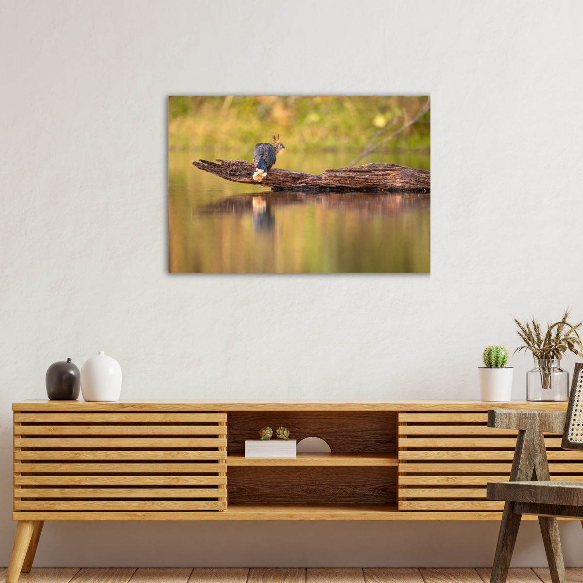 Hoatzin (Leinwandprint 60x90cm)