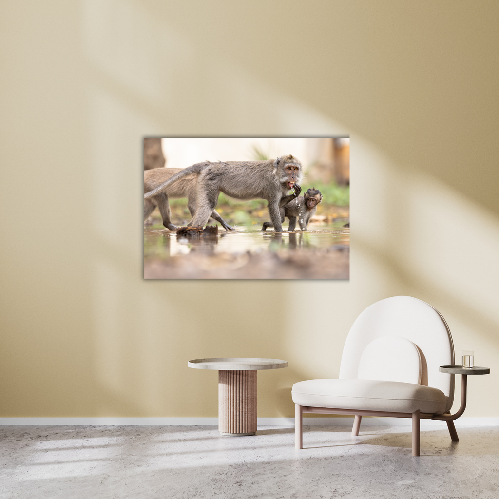 Makake 5.0 (Leinwandprint 60x90cm)