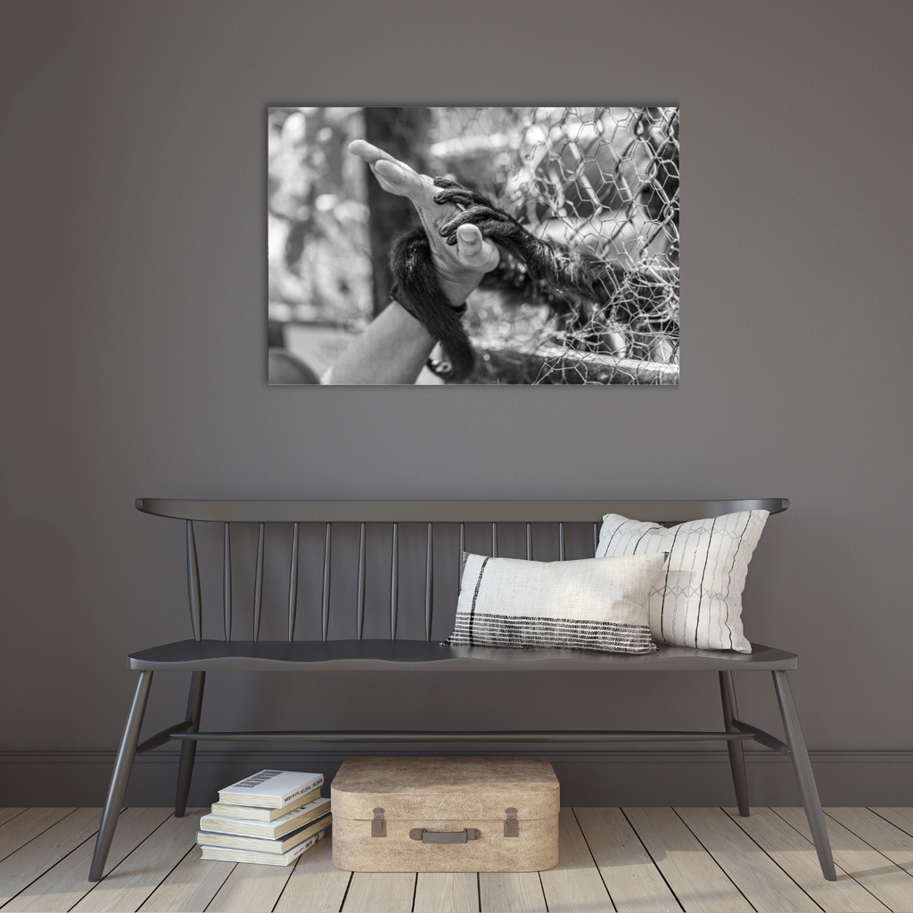 Freedom (Leinwandprint 60x90cm)
