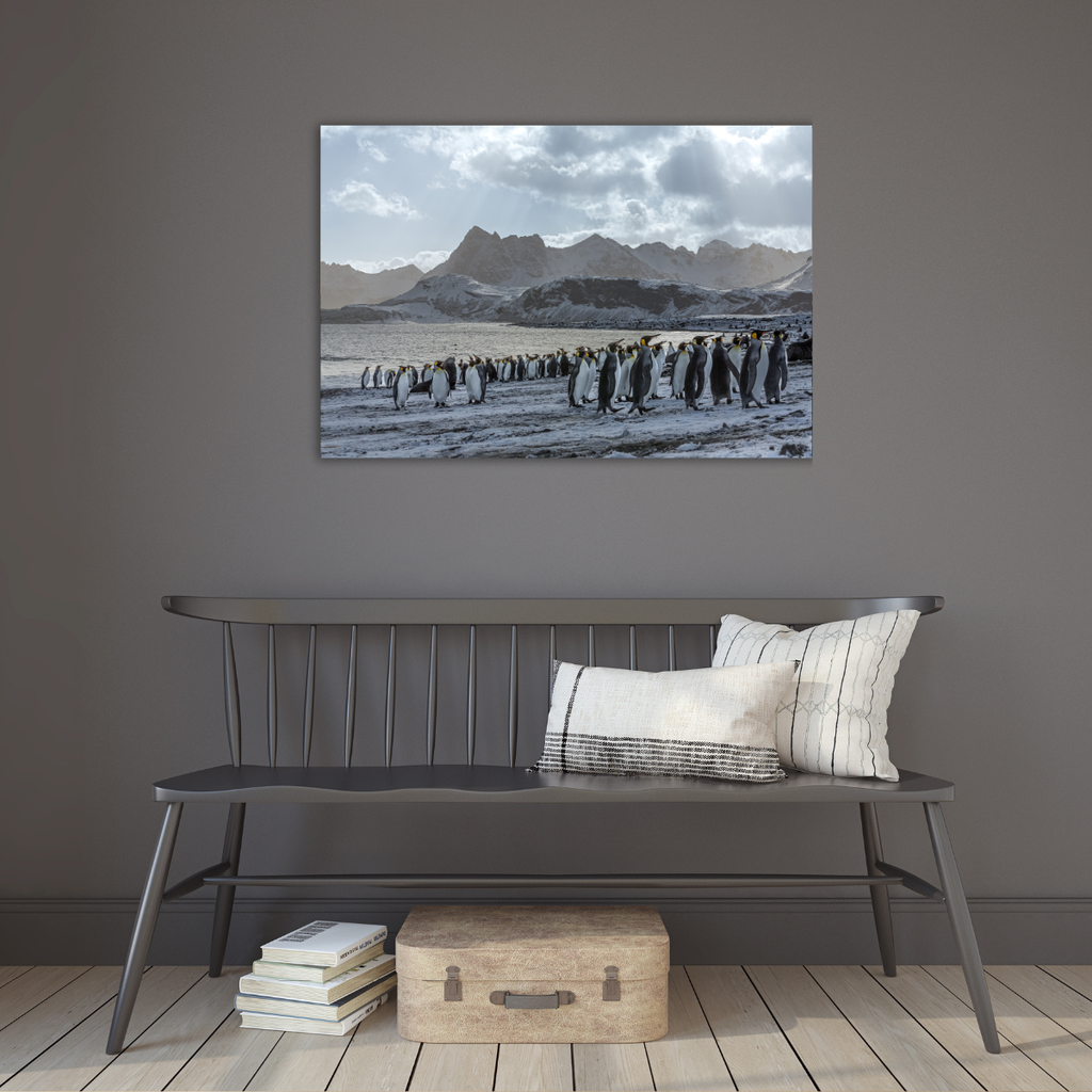 Gold-Harbour Südgeorgien (Leinwandprint 60x90cm)