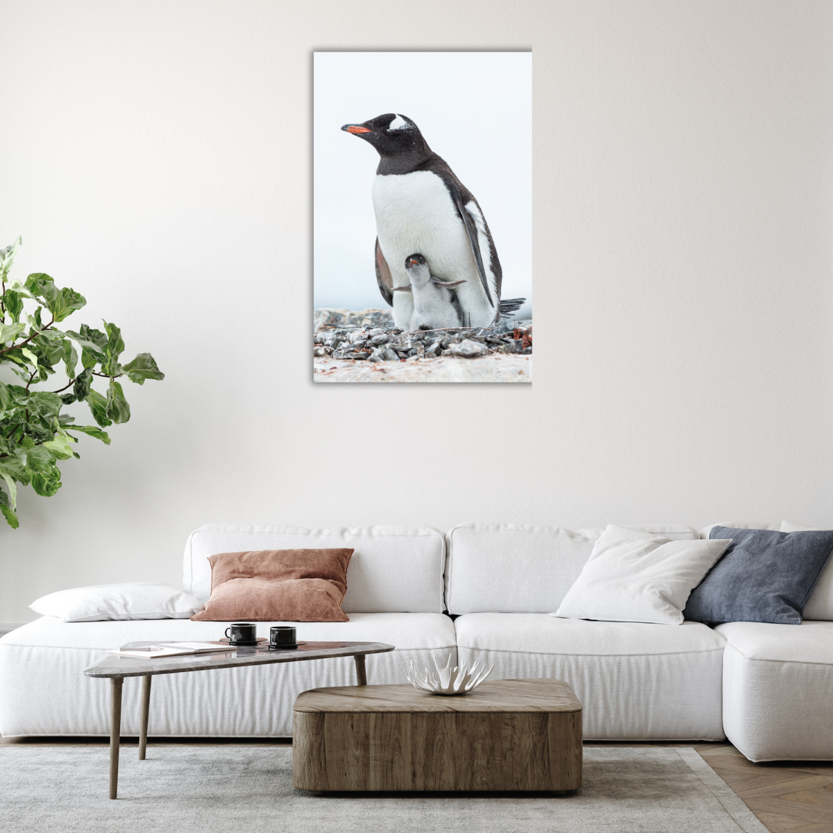 Eselspinguinmutter mit Baby (Leinwandprint 90x60cm)