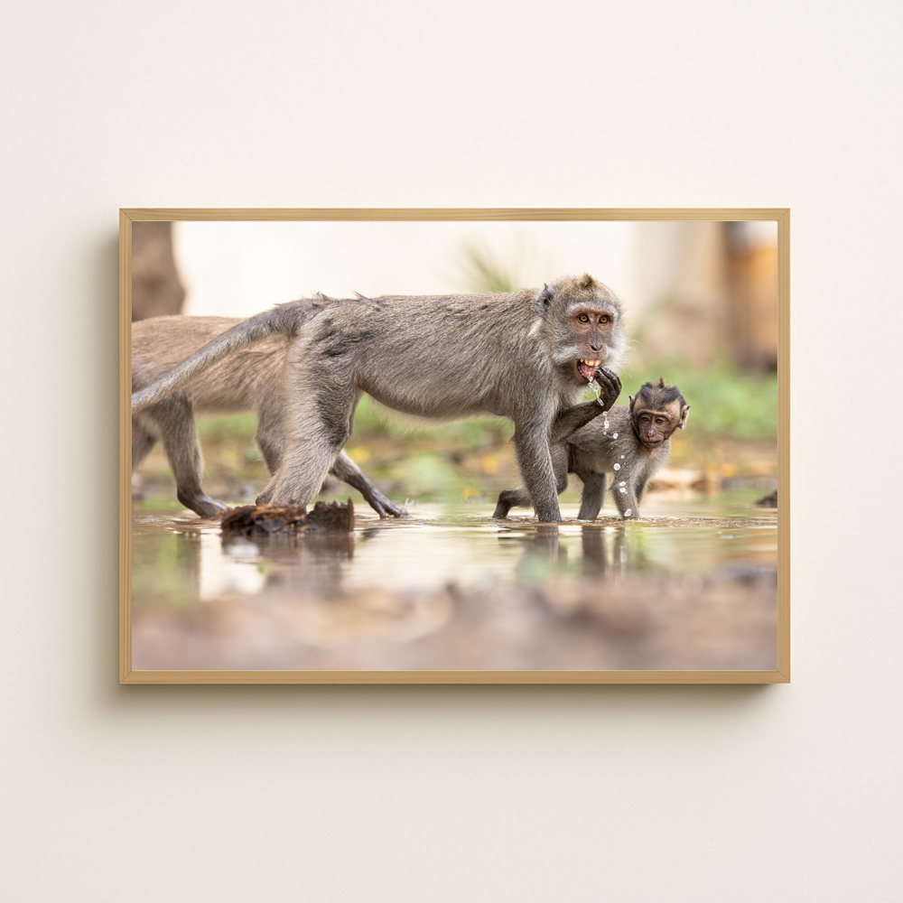 Makake 5.0 (Fine Art Print 30x45cm)