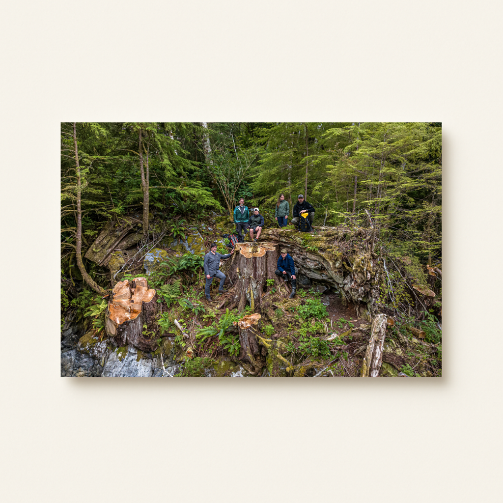 Team Kanada (Leinwandprint 60x90cm)