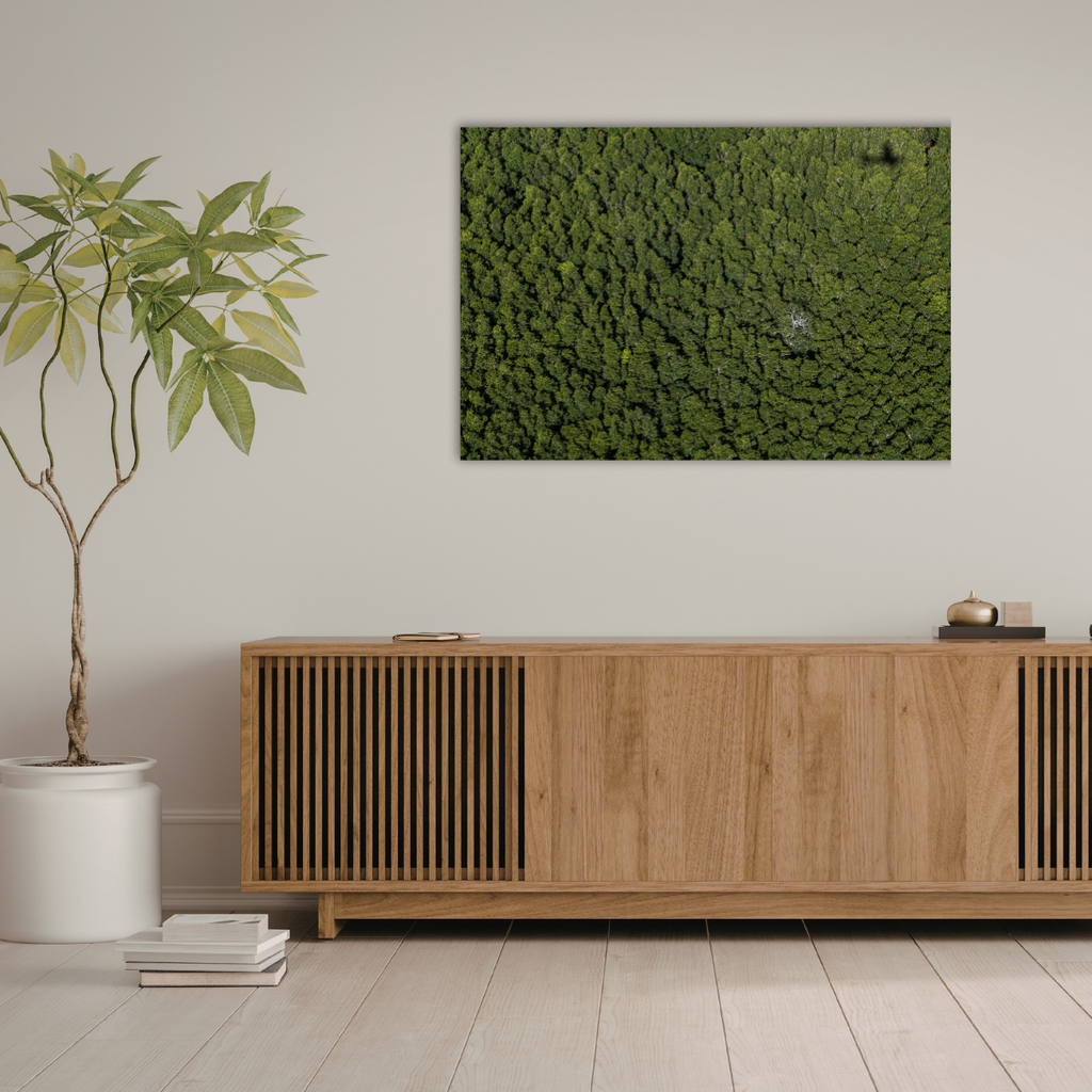 Dschungel Philippinen (Leinwandprint 60x90cm)