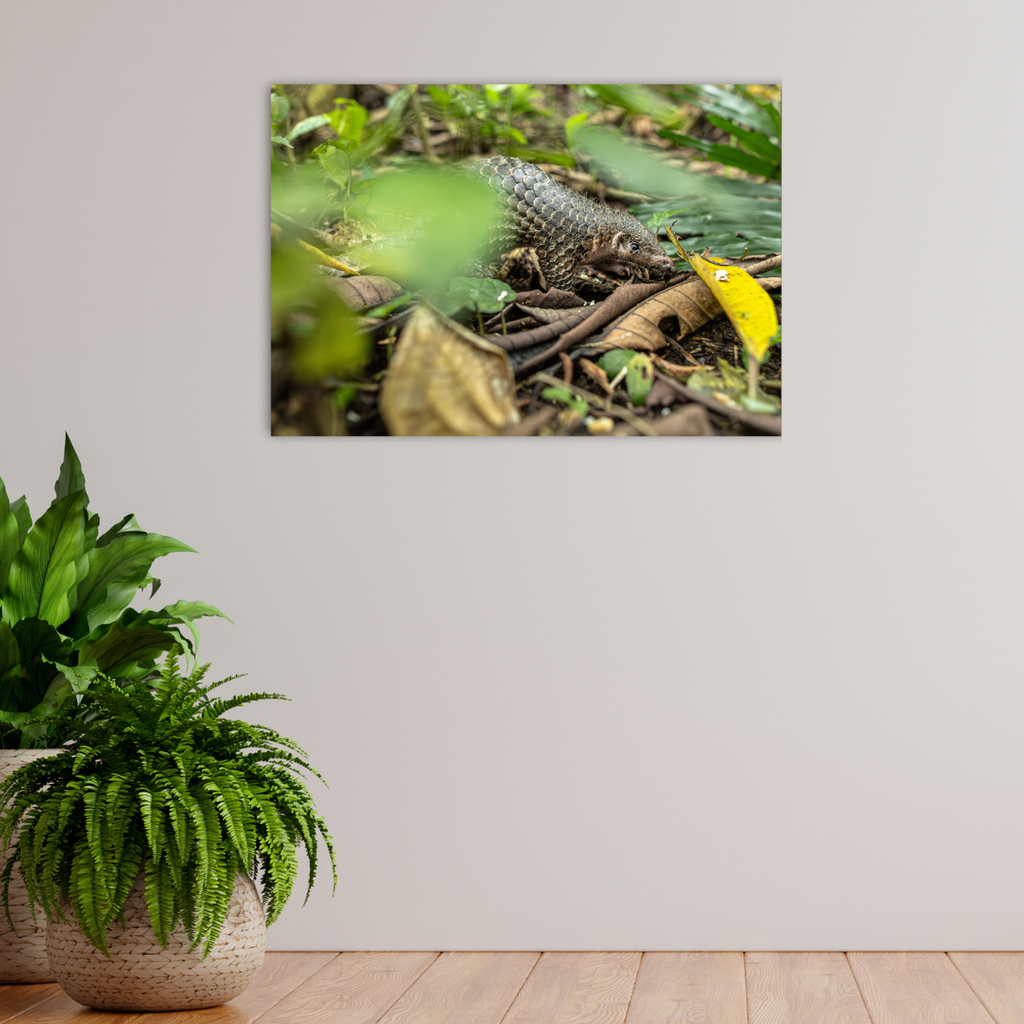 Schuppentier (Leinwandprint 60x90cm)