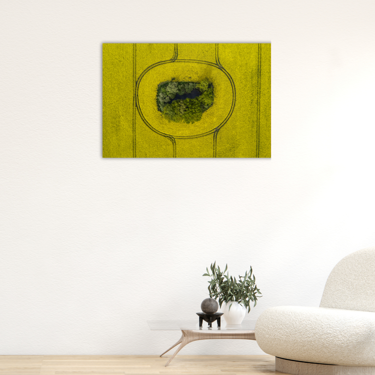Rapsfeld (Leinwandprint 60x90cm)