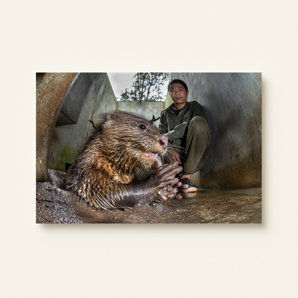 Wildtierhandel 3.0 (Leinwandprint 60x90cm)