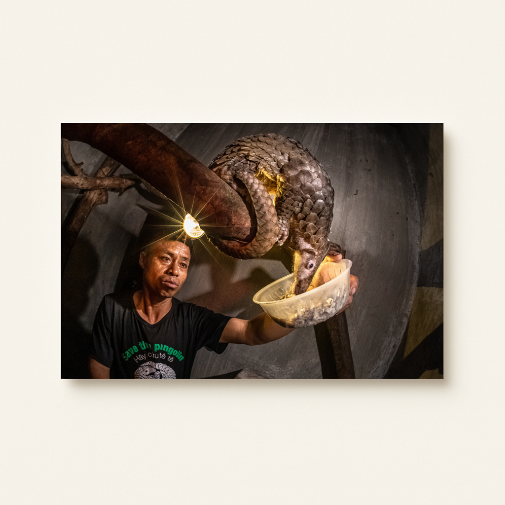 Wildtierhandel 4.0 (Leinwandprint 60x90cm)