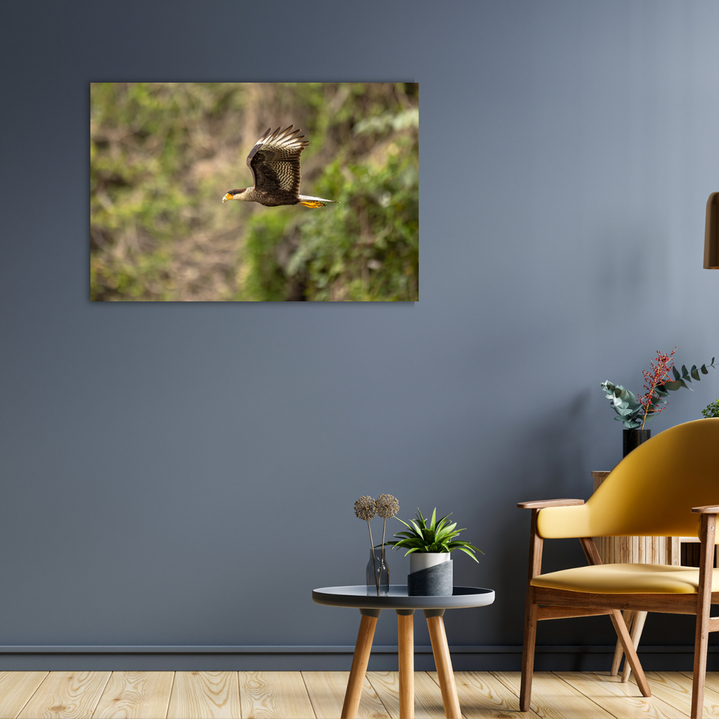 Karakara (Leinwandprint 60x90cm)