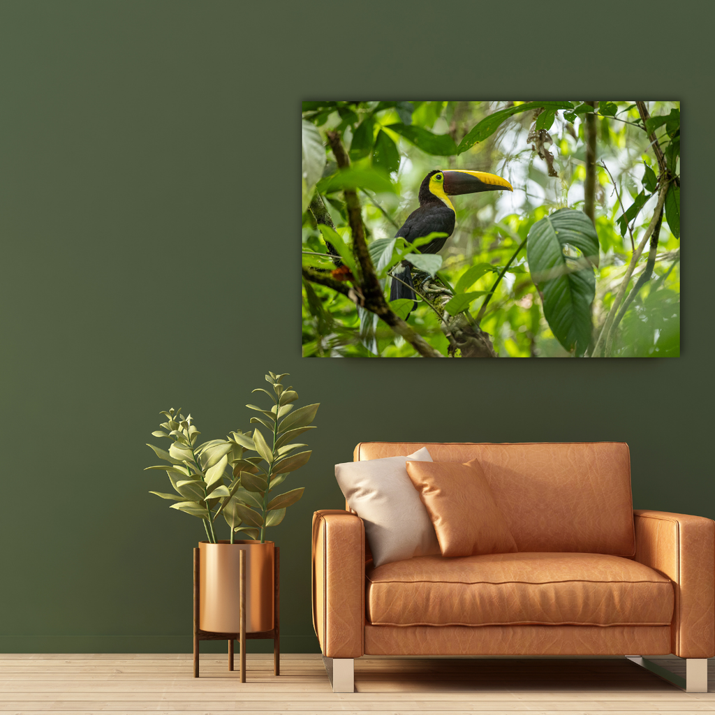 Tukan 2.0 (Leinwandprint 60x90cm)