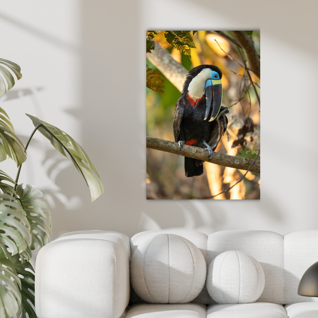 Tukan 3.0 (Leinwandprint 90x60cm)