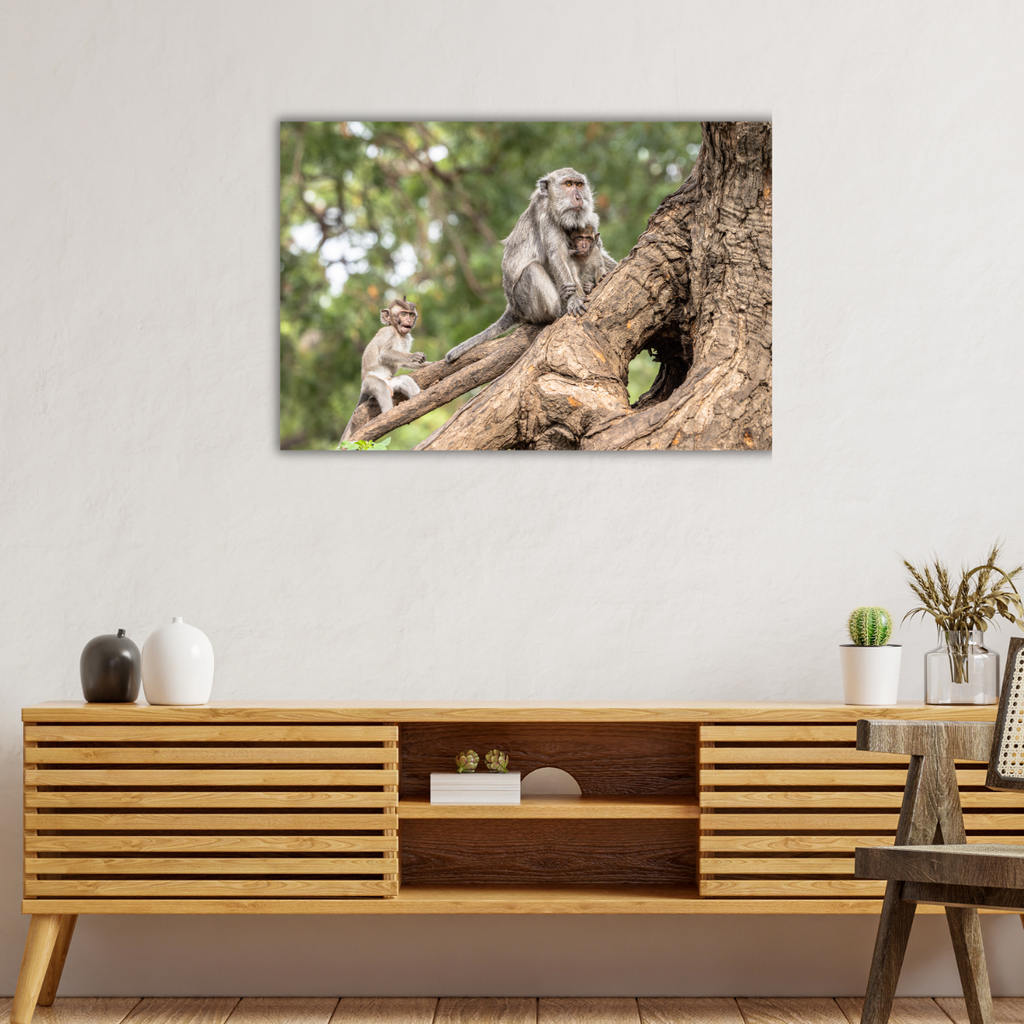 Makake 17.0 (Leinwandprint 60x90cm)