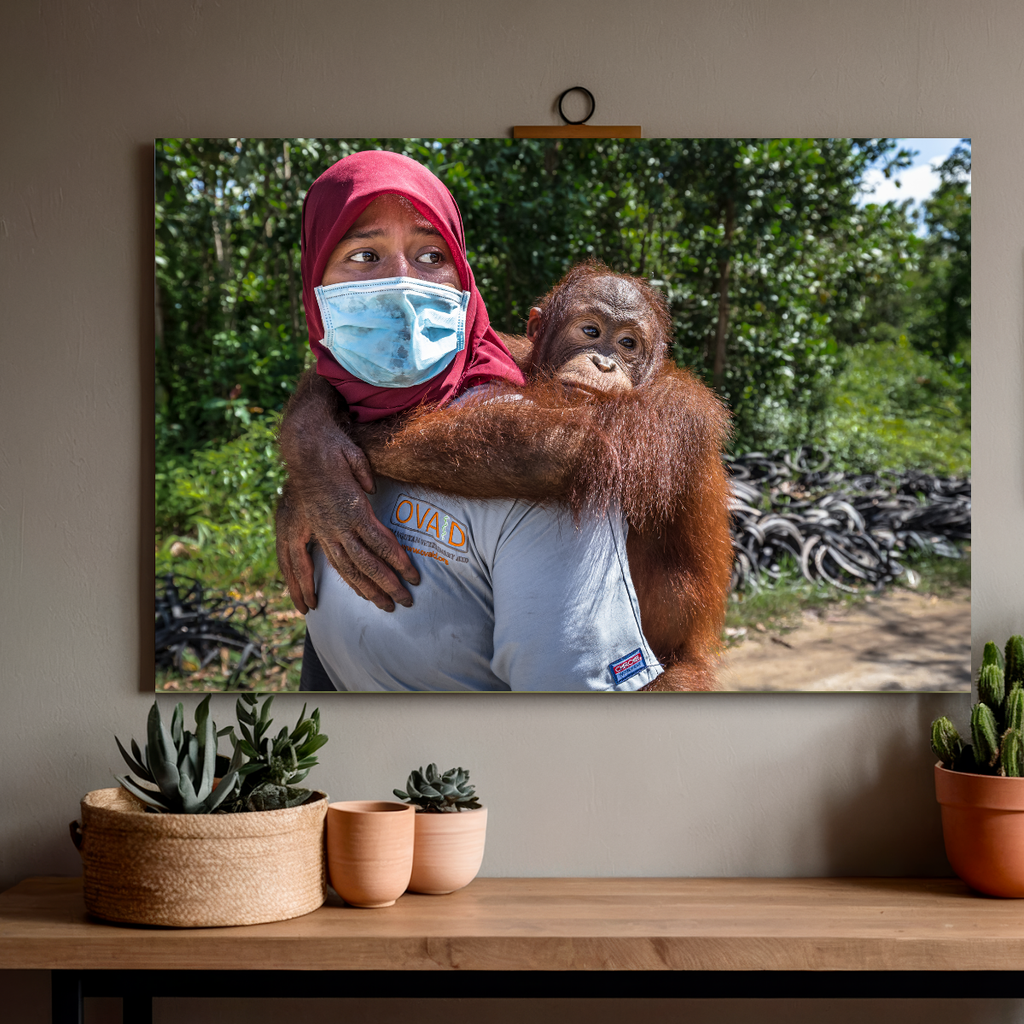 Orang-Utan Rescuecenter (Leinwandprint 60x90cm)