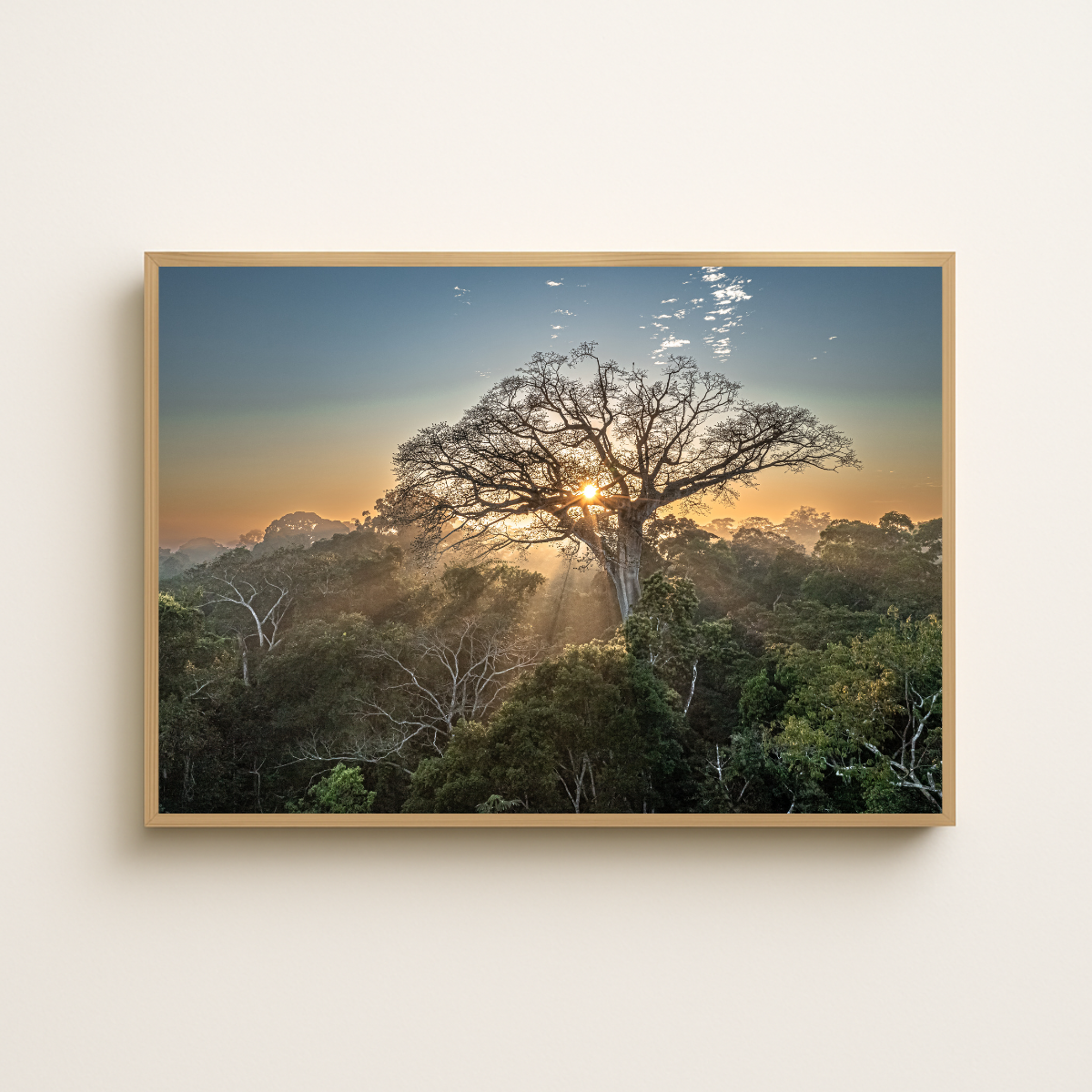 Peru Baum (Fine Art Print 30x45cm)