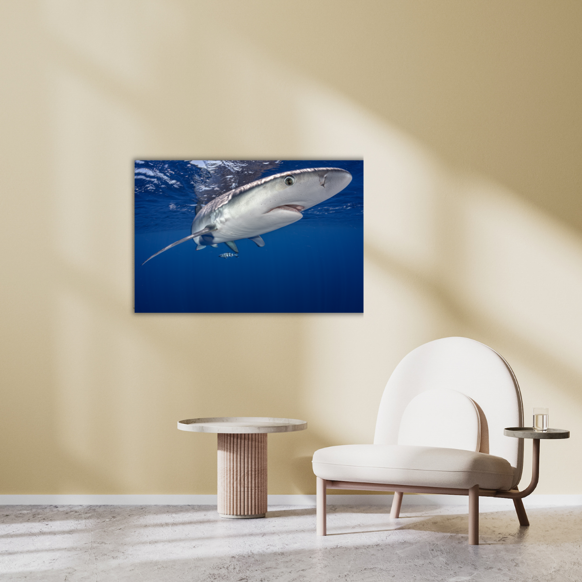 Blauhai 12.0 (Leinwandprint 60x90cm)