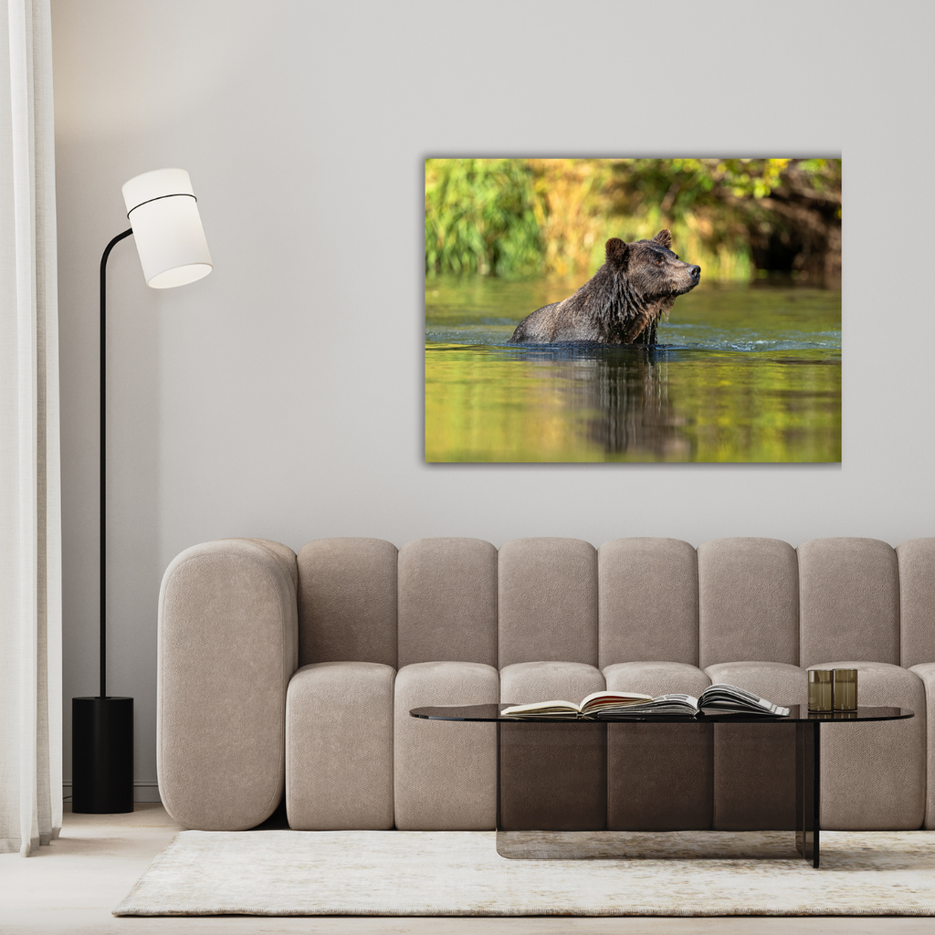 Bär (Leinwandprint 60x90cm)