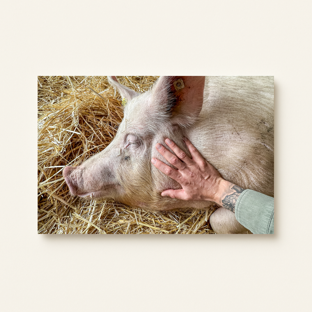Bibi (Leinwandprint 60x90cm)