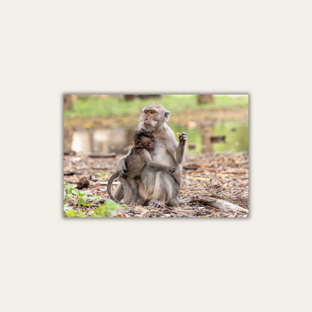 Makake 14.0 (Leinwandprint 60x90cm)