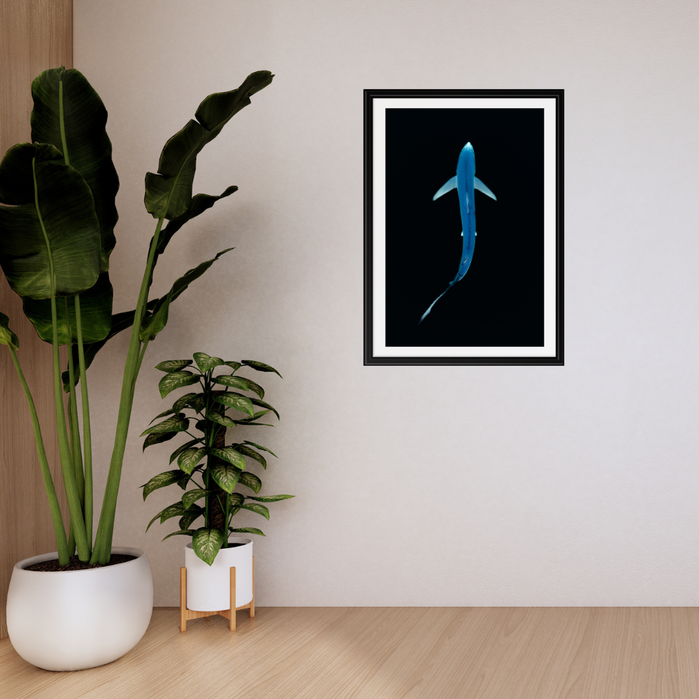 Blauhai 3.0 (Fine Art Print 30x45cm)